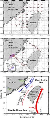 Biophysical controls on spatial and summer/winter distributions of total and chromophoric dissolved organic matter in the Taiwan Strait